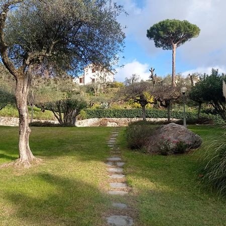 Casa Degli Ulivi Apartment Lerici Luaran gambar